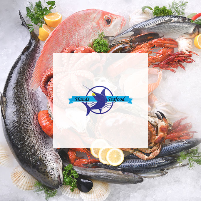 Hands Seafood Exports Logo